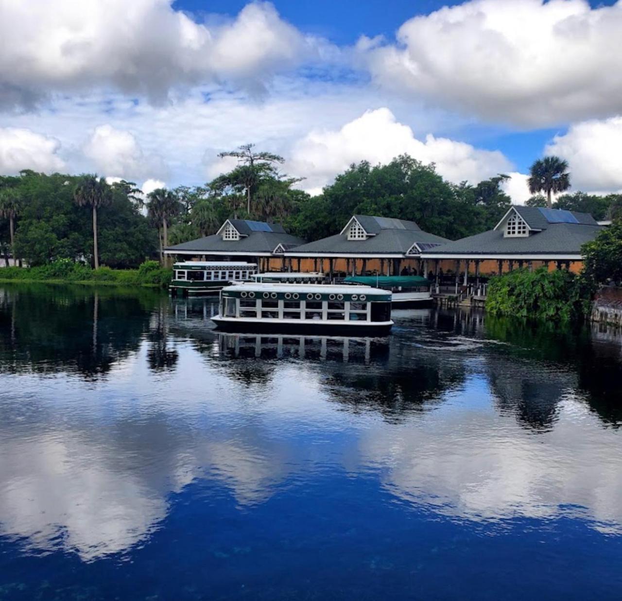 Private Home In Ocala With Fenced Yard, Piano, Central Location, Pets Welcome 외부 사진